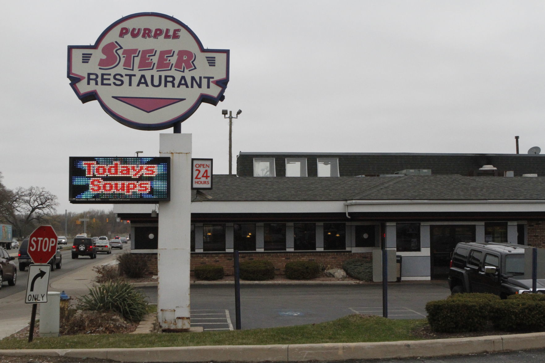 The Purple Steer